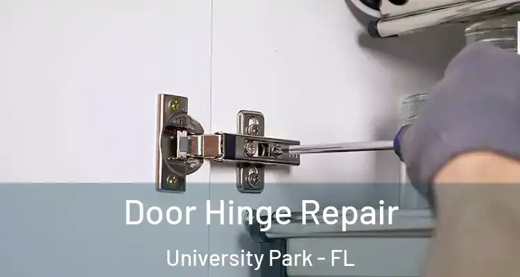 Door Hinge Repair University Park - FL