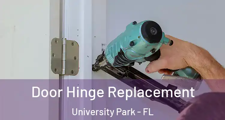 Door Hinge Replacement University Park - FL
