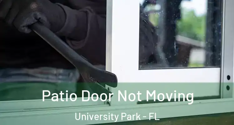 Patio Door Not Moving University Park - FL