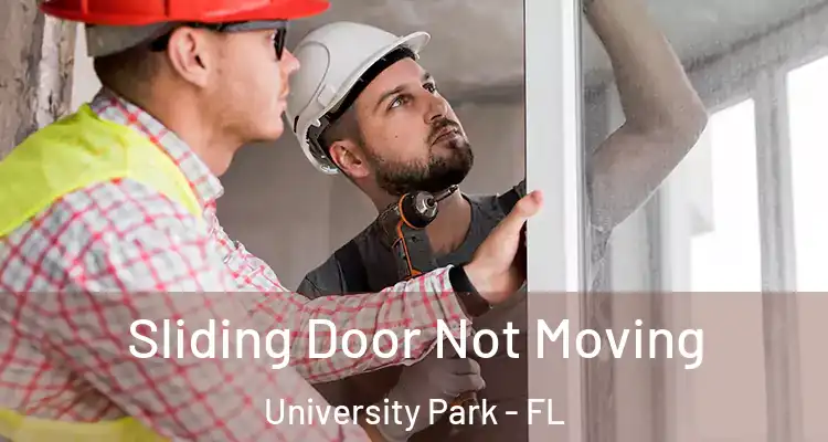 Sliding Door Not Moving University Park - FL