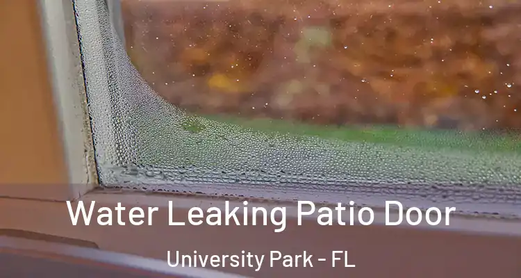 Water Leaking Patio Door University Park - FL